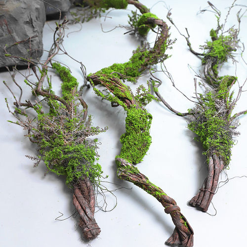 商场造景枯藤青苔枯藤