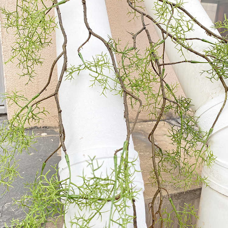 黑骨芒仿真花松针藤树枝绿植缠绕藤蔓蕨类植物铁线蕨爬藤装饰造景