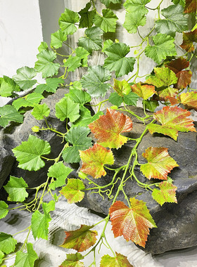 仿真植物葡萄叶藤条绿叶假花藤蔓树叶吊顶管道装饰塑料花墙壁绿植
