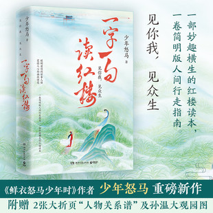现货一字一句读红楼 鲜衣怒马少年时作者少年怒马三年心血力作 妙趣横生的红楼读本 简明版人间行走指南 全维度解读红楼梦