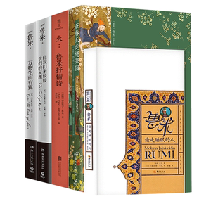 正版6册】鲁米诗集6册全套睡醒的人鲁米抒情诗火偷走睡眠的人在春天走进果园让我们来谈谈我们的灵魂万物生而有翼张德芬作序武志红