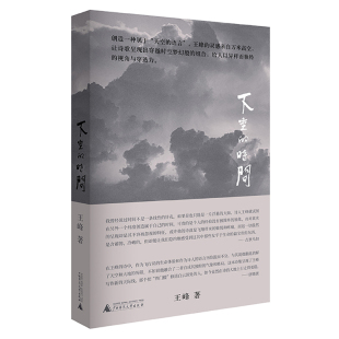 空中诗人资深机长王峰全新力作 社L 下垂 广西师范大学出版 天空视角 异于常人 纯粹Pura书系 王峰著 时间 新书 现货正版
