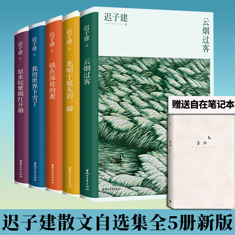 官方正版【全5册】迟子建经典散文系列 原来姹紫嫣红开遍+我的世界下雪了+云烟过客+光明于低头的一瞬+锁在深处的蜜 朗读者D