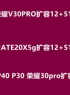 V30PRO扩容 荣耀30pro p40 内存升级 魔改 mate20x p30 20 mate50
