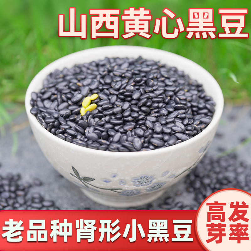 山西肾形黄仁可发芽500g小黑豆