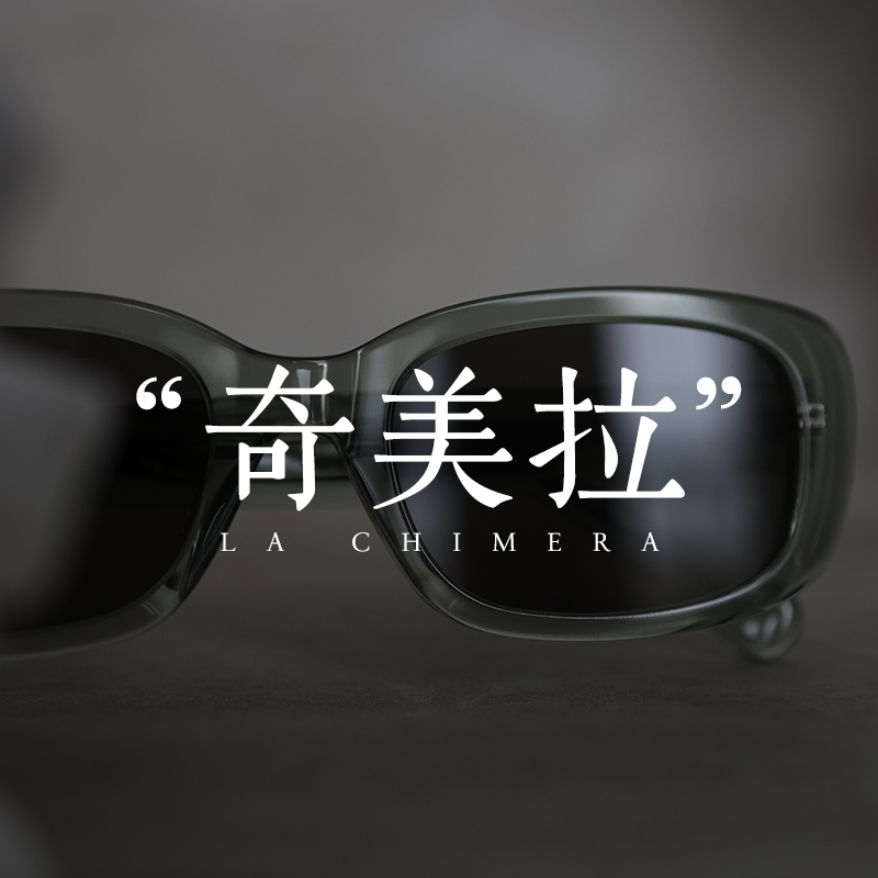 脱壳女高级感板材大框太阳镜
