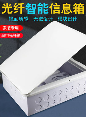 多媒体信息箱弱电家用光纤入户箱