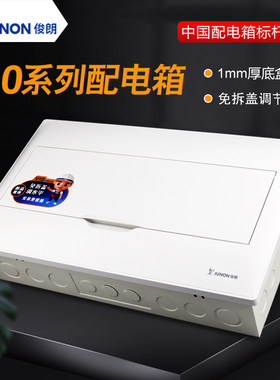 俊朗配电箱强电箱电源20位总箱
