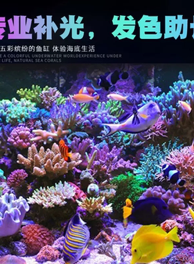 吉印补光灯 吉印海水补光灯珊瑚补光灯海缸珊瑚缸SPS蓝色促发色灯