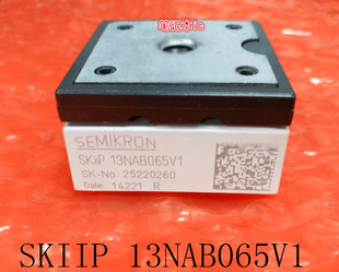 SKIIP13NAB065V1    SKIIP13NAB065VI     13NAB065V1    新的