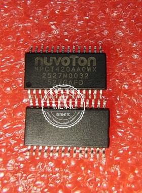 NPCT420AAOWX NPCT420AA0WX TSSOP28 新的 一个起拍