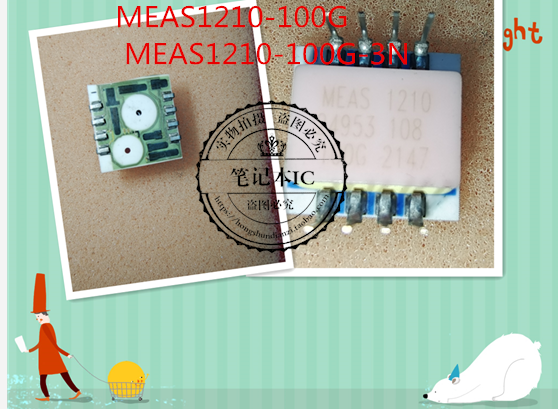 MEAS1210-100G  MEAS1210-100G-3N    新的 一个起拍