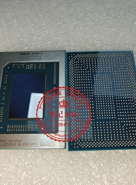 100-000000954 100-000000871  全新 一个起拍