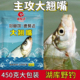 翘嘴野钓黑坑四季 鱼饵可搓可拉大翘嘴广谱饵无需添加拉丝粉