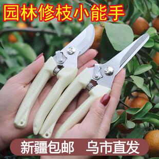 新疆包邮不锈钢树枝修枝剪采摘水果花木剪园卉枝嫁接园艺剪刀工具