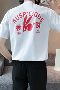 社会小伙夏季短袖t恤纯棉潮流圆领体恤男印花打底衫C203-8857-P38图片