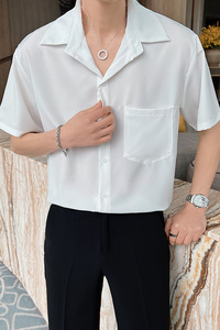 青年男士夏季短袖白色衬衫轻熟风薄款休闲尖领上衣C203-8821-P58图片