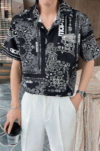2026夏季男士翻领短袖花衬衫轻熟风青年小伙休闲上衣C203-8811P58图片