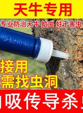 天牛钻心虫蛀木虫杀虫剂