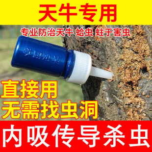 天牛杀虫剂蛀木虫木屑粉末除虫一农药插灵果树杨树钻心虫吉丁虫药