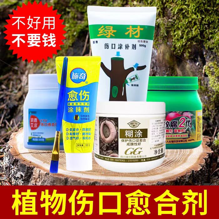 国光植物伤口愈合剂送刷子