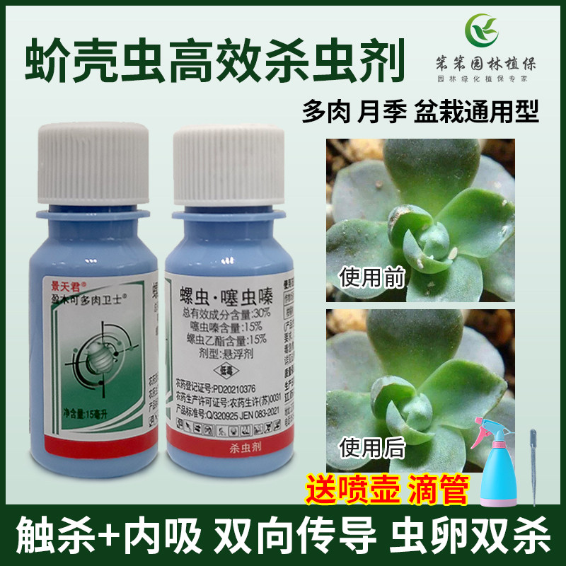多肉蚧壳虫杀虫剂螺虫乙酯噻虫嗪月季发财树介壳虫花药吡虫啉农药