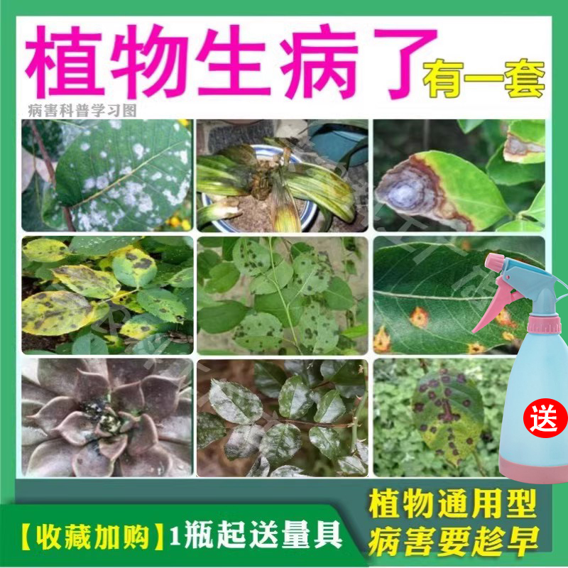 植物多菌灵锈病烂叶枯叶黄叶黑斑病斑点白粉病烟煤病杀菌药专用药