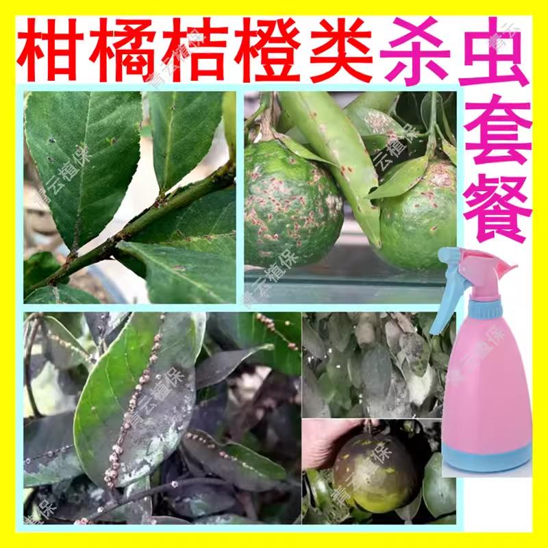 蜜桔橙果树杀虫剂杀虫剂图片