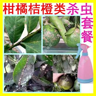 砂糖柑橘果树橙子蜜桔橙沃柑芦柑皇帝柑佛手专用杀虫剂除虫打虫药