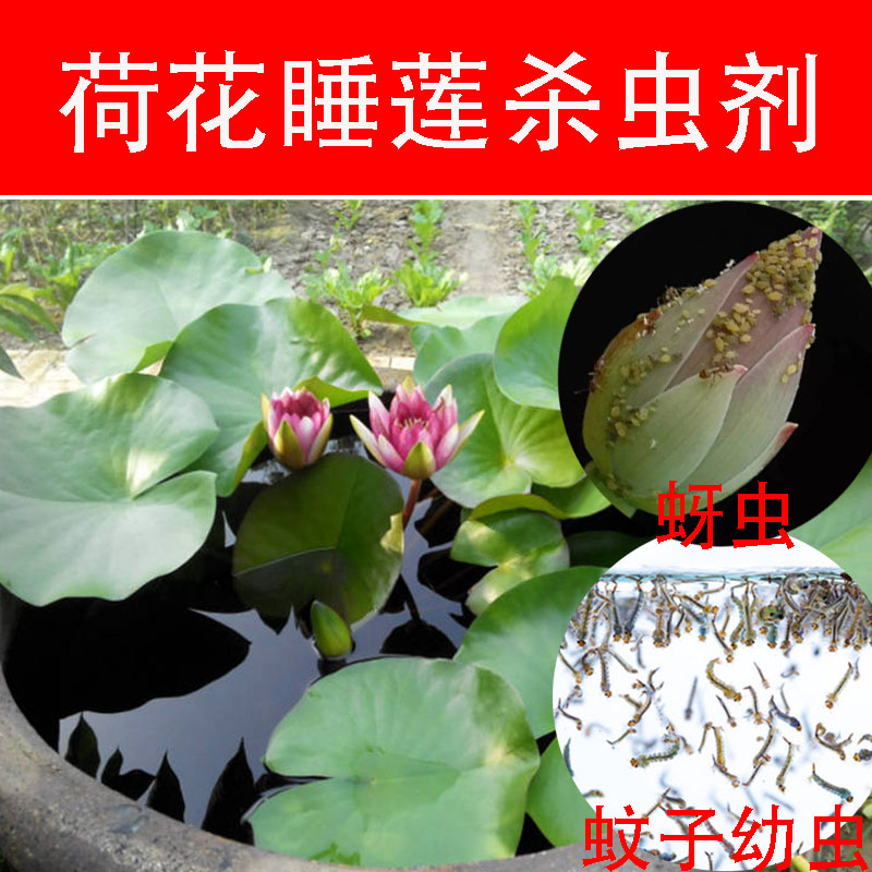 荷花杀虫剂蚜虫腻虫睡莲花打虫药碗莲除孑孓水培植物除灭蚊子幼虫