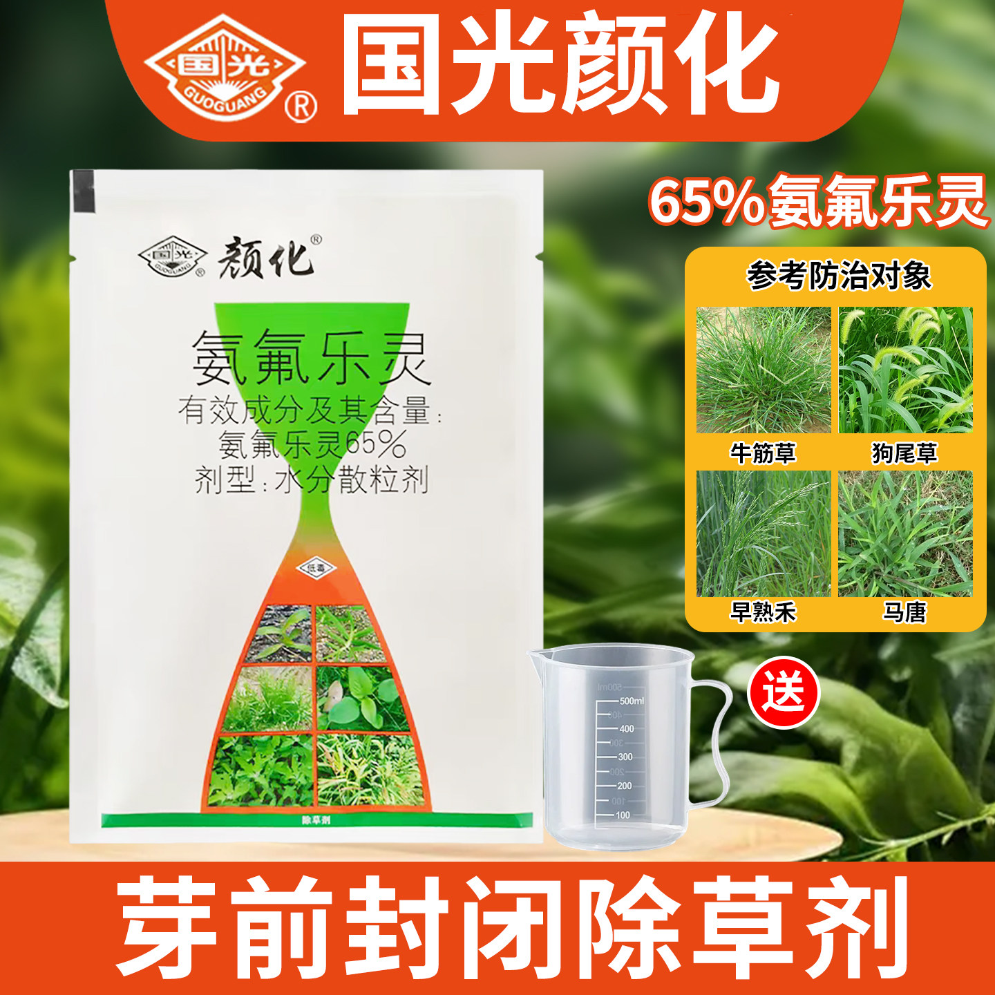 国光颜化草坪杂草封闭剂牛筋草