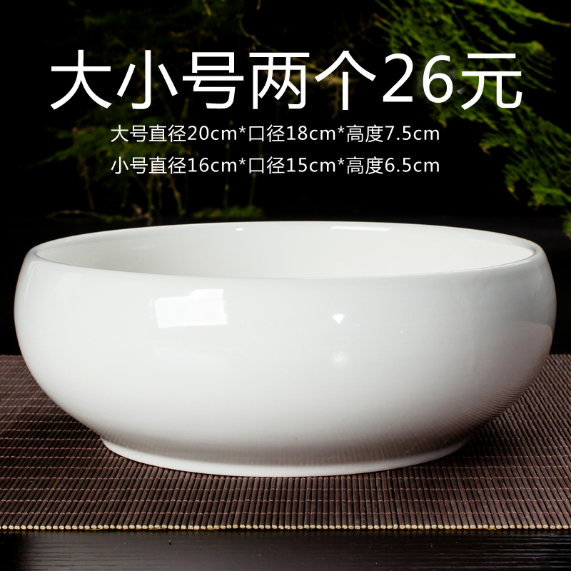 陶瓷简约水培植物多肉水仙花盆