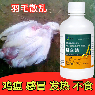 温立清鸡鸭鹅感冒发热咳嗽呼噜禽用鸡药抗病毒鸡瘟鸭瘟流感新城疫