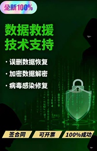 数据解密恢复技术支持安全加固数据救援