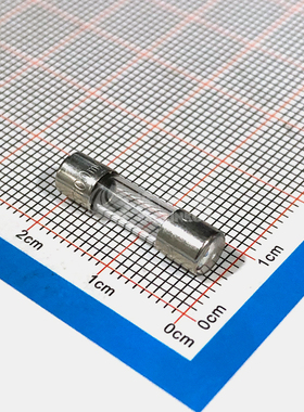 0218.100MXP  LITTELFUSE  保险丝  现货库存