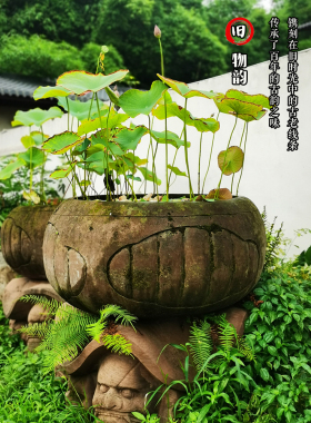 明清古典风养鱼荷花池庭院老石槽