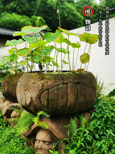 明清古典装饰老石槽浮雕鱼缸庭院养鱼池风水古石缸镇宅石雕聚宝盆 - 封面