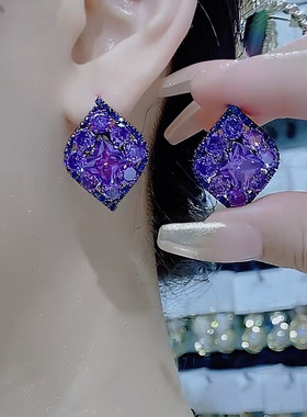 日韩新款气质设计感紫色锆石耳环女网红爆款夸张个性复古银针耳饰