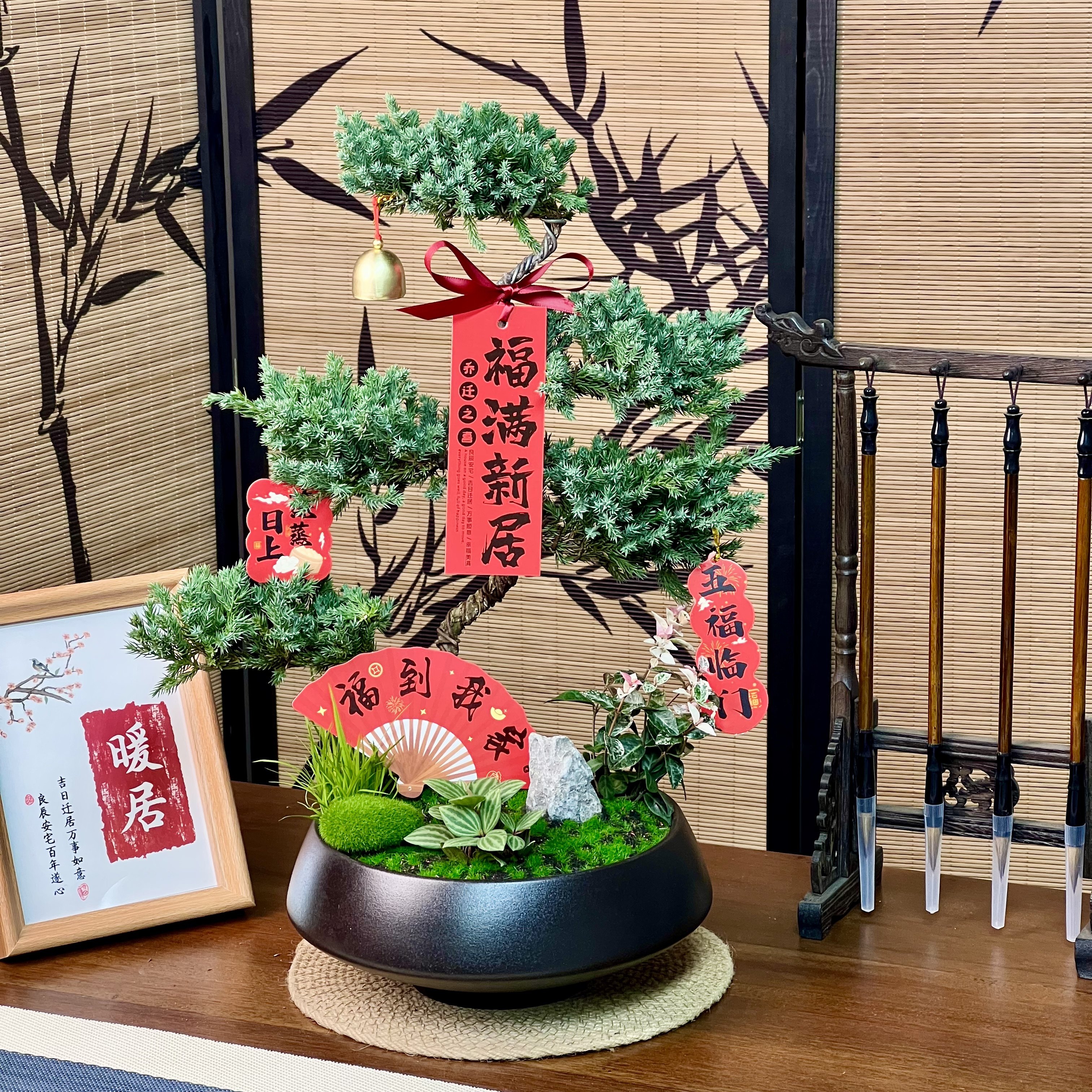 顺丰包邮五层塔松盆栽祝寿礼送长辈送老师青松绿植开业乔迁送领导,鲜花速递/花卉仿真/绿植园艺,大型绿植/成品组合盆栽,淘宝优惠券,粉丝福利购,淘宝优惠卷