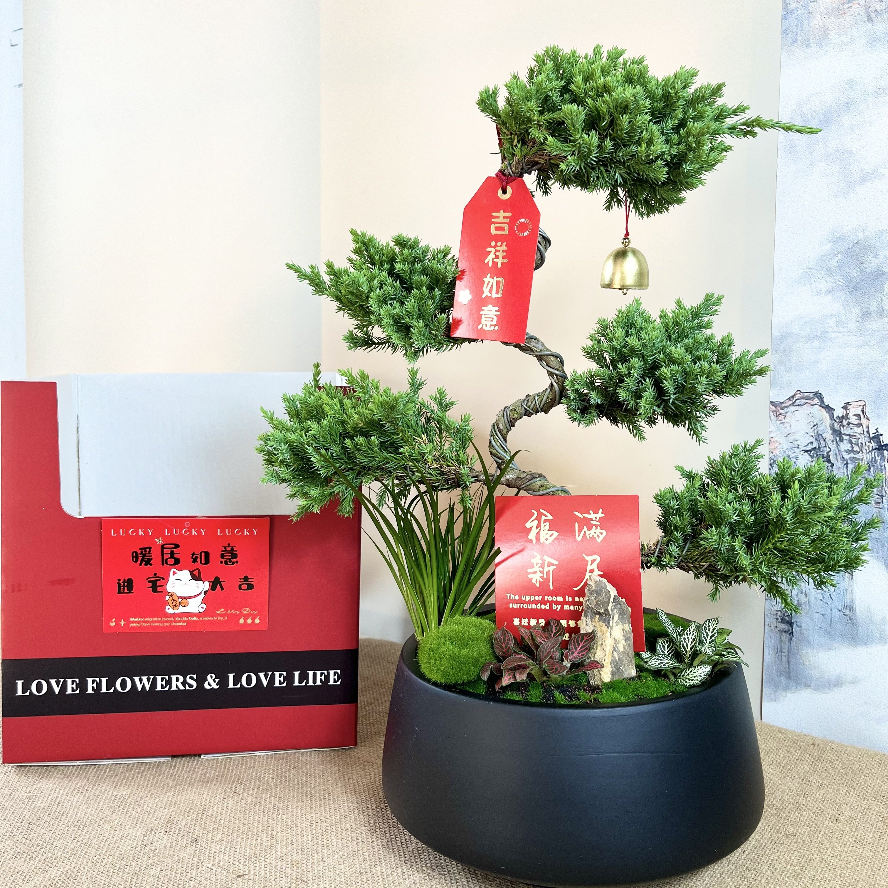 顺丰包邮五层塔松盆栽祝寿礼送长辈送老师青松绿植开业乔迁送领导,鲜花速递/花卉仿真/绿植园艺,大型绿植/成品组合盆栽,淘宝优惠券,粉丝福利购,淘宝优惠卷