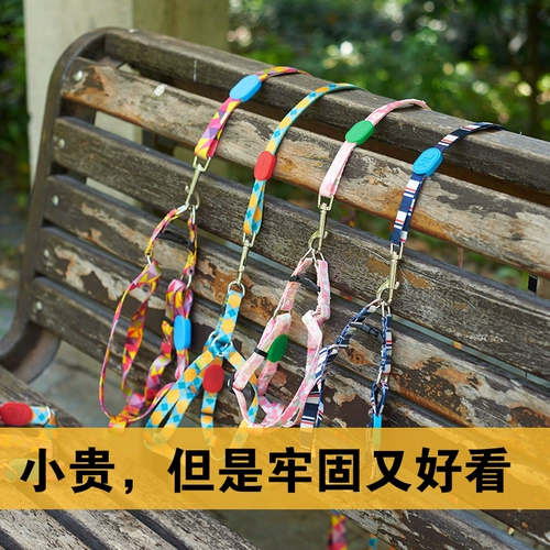 Цепи собаки собаки, собака, ходящая собака веревка, воротнич