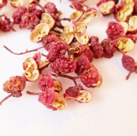甘肃当季大红袍花椒特级包邮500克一斤干花椒食用特麻味浓香花椒