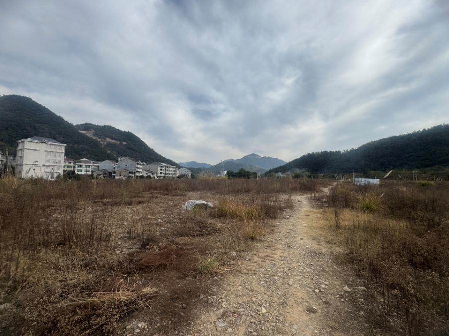 4月20日温州市土地使用权、苗木及活动板房等附属物网络拍卖公告