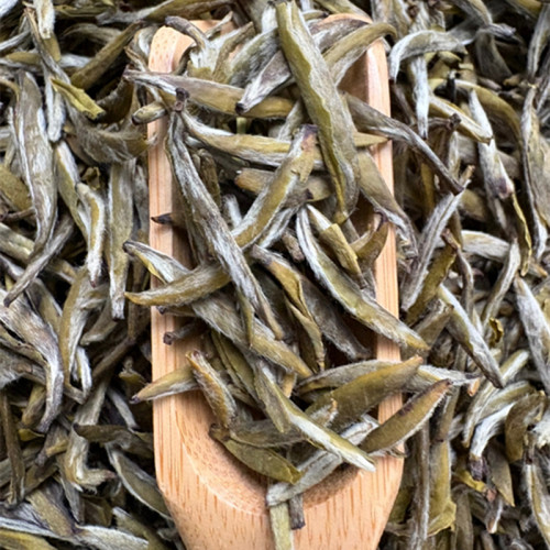 2025新茶福鼎白毫银针胚料冰糖甜茉莉雀舌浓香125克罐装茉莉针王