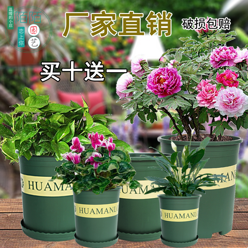 园艺花盆绿萝加仑盆1/1.5/2/3/5花满楼塑料花盆家庭种花养花花盆 鲜花速递/花卉仿真/绿植园艺 花盆 原图主图