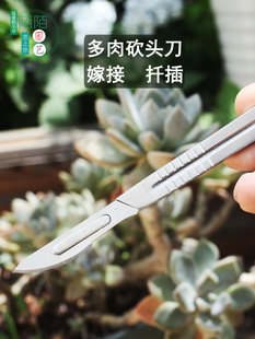 园艺多肉嫁接刀芽接刀植物砍头刀月季分株工具手工果树修枝刀包邮