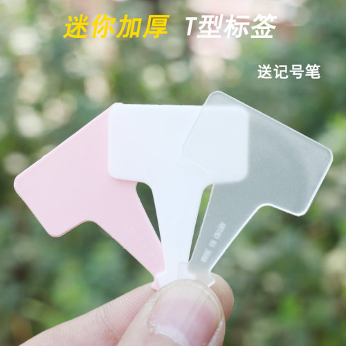 加厚箭头标签植陌育苗播栽花卉牌