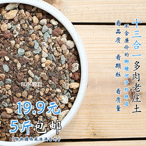 多肉颗粒土泥炭huasu老庄专用土