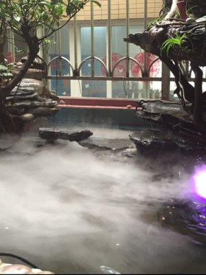 超声波雾化头水池假山造雾器鱼缸盆起雾器庭院景观雾化加湿大雾量