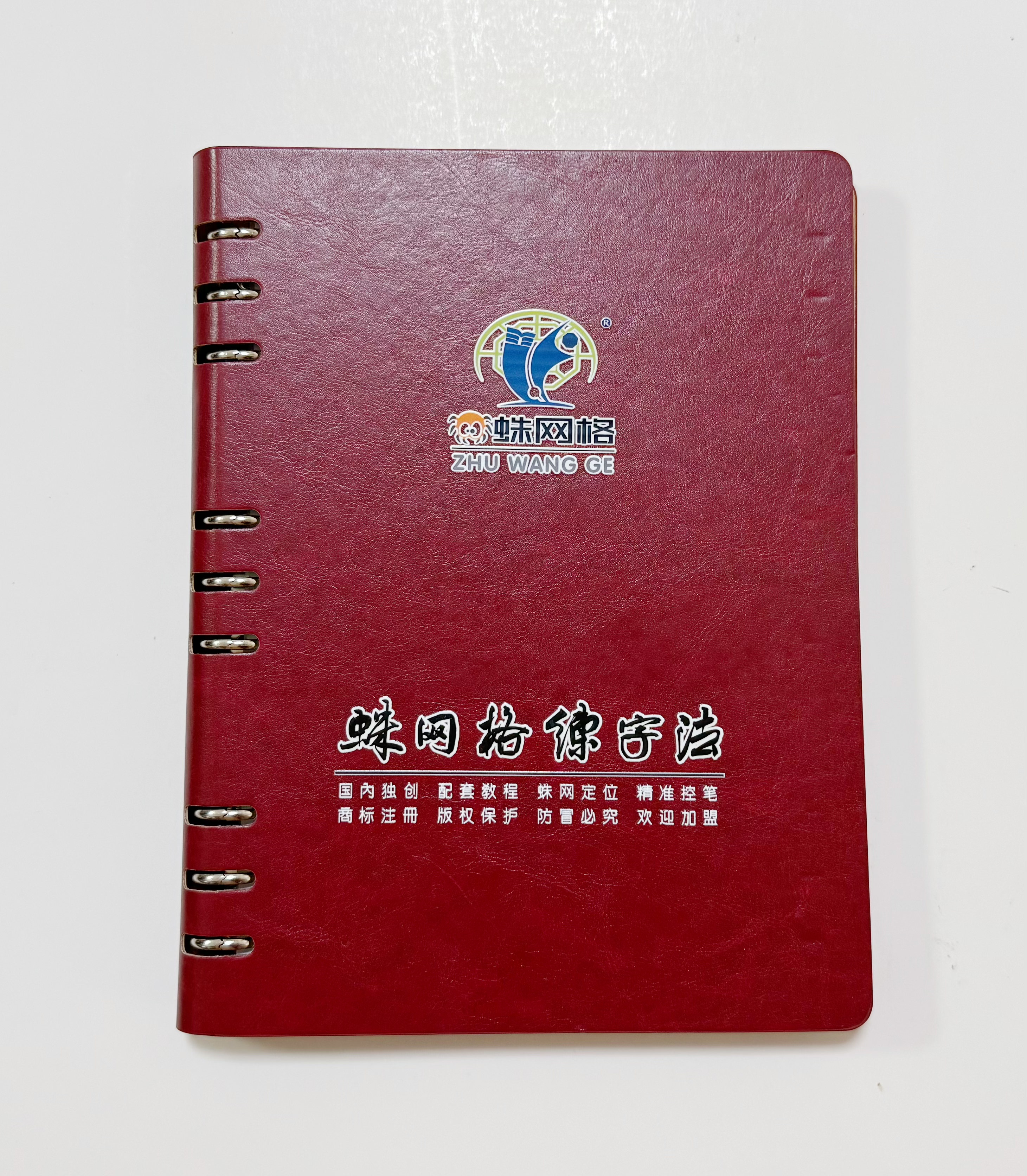 【蛛网格练字法】专利配套练习资料/教程教学练中小学教材技巧同
